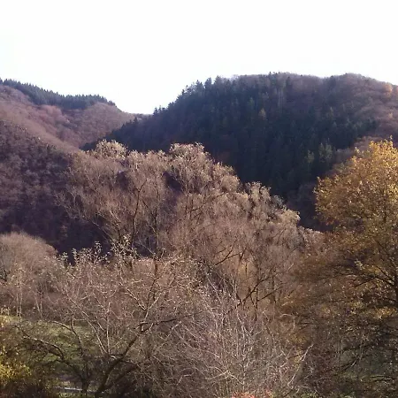 Apartment Waldblick Waldbreitbach