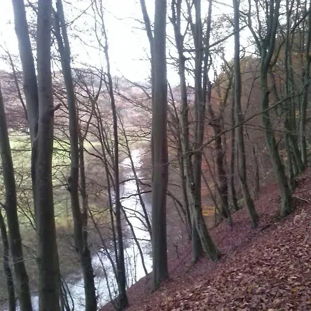 Waldblick * Waldbreitbach